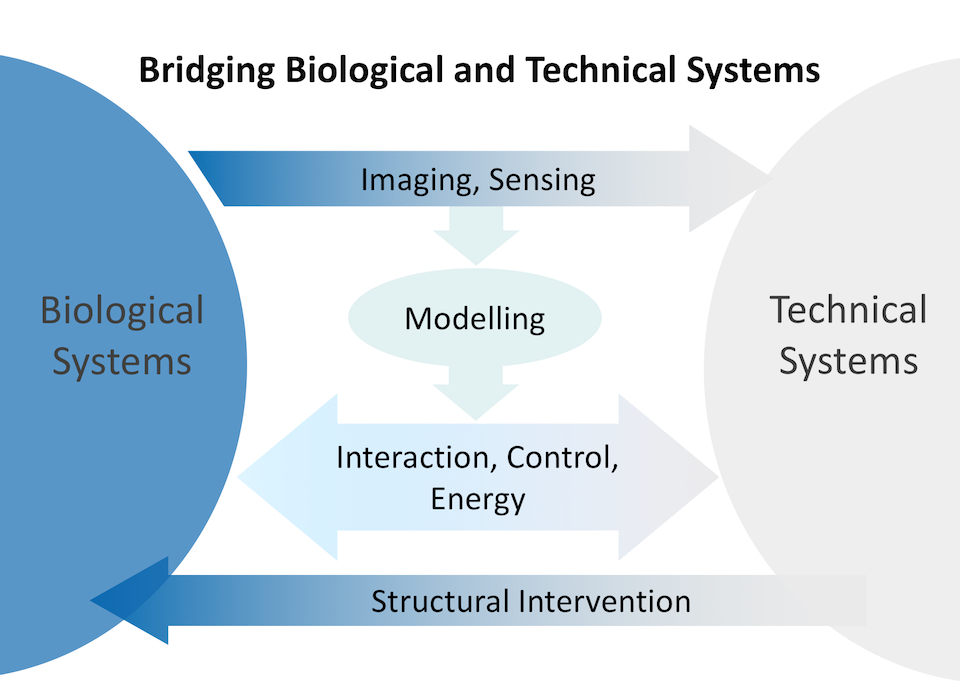Enlarged view: Biomedical Engineering